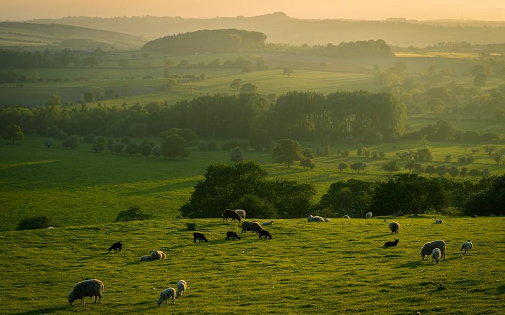 Five Best Places to Live in North Yorkshire