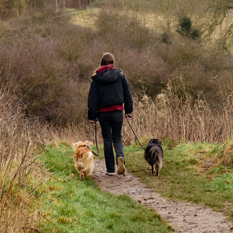 Walking