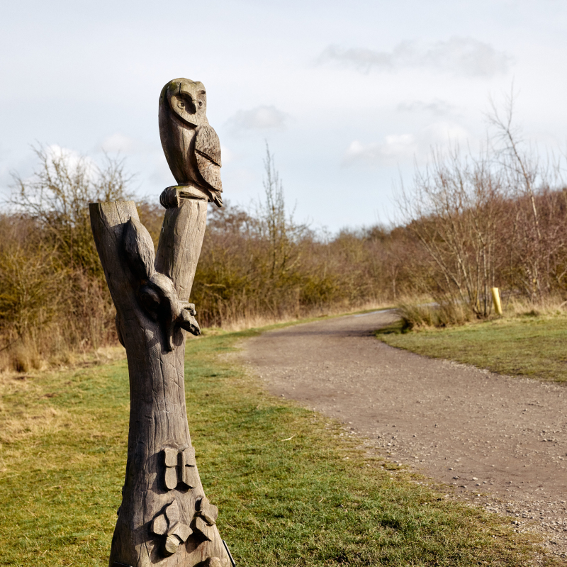 Gedling Country Park