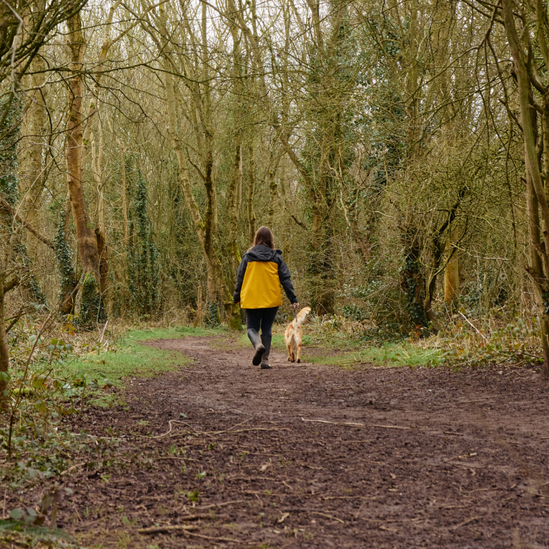 Countryside location