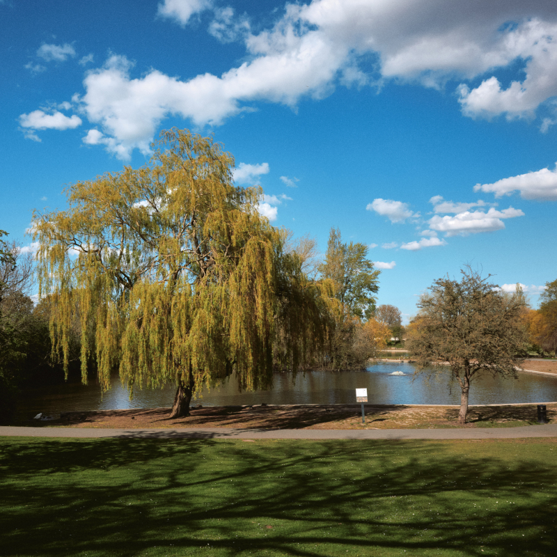 Sandall Park
