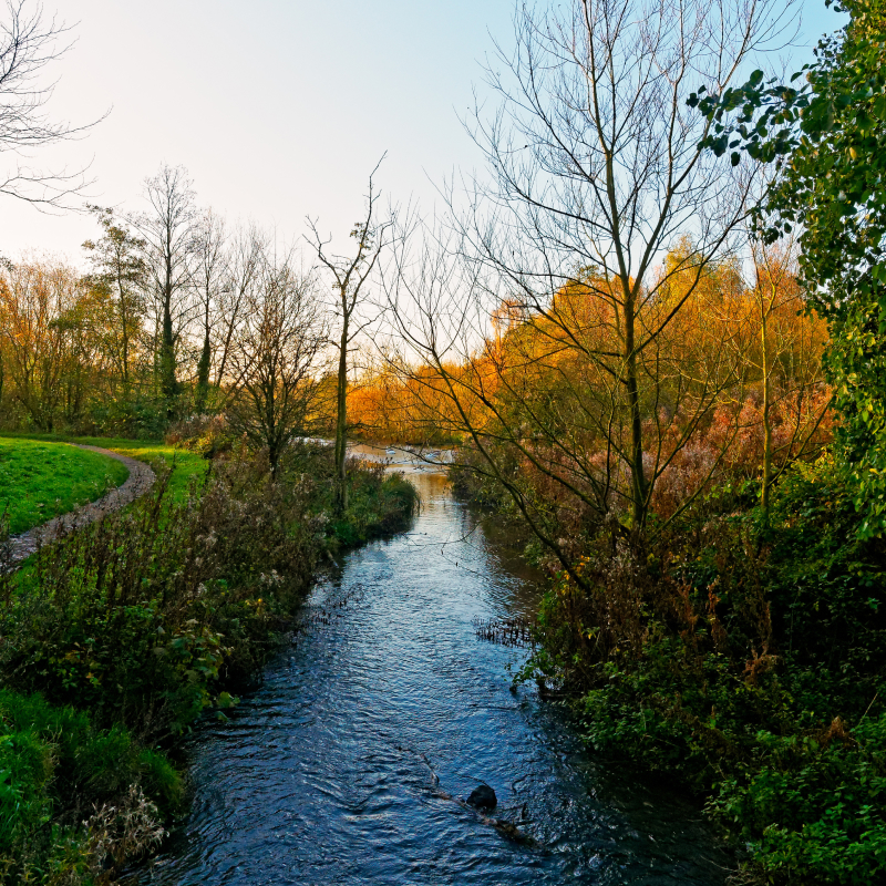 Arnot Hill park