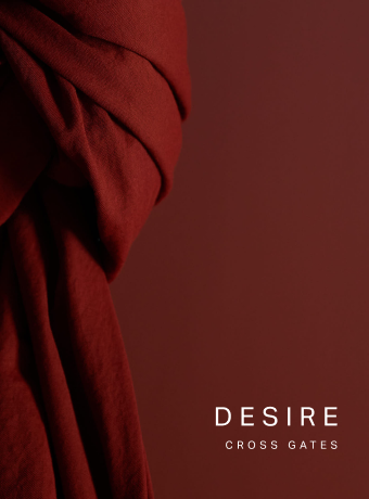 A book about Desire
