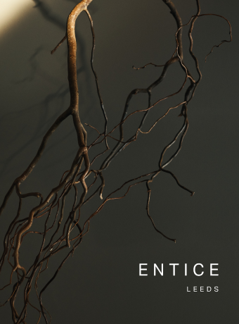 A book about Entice