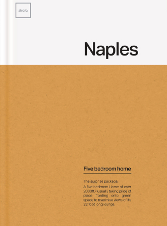 A book about Naples