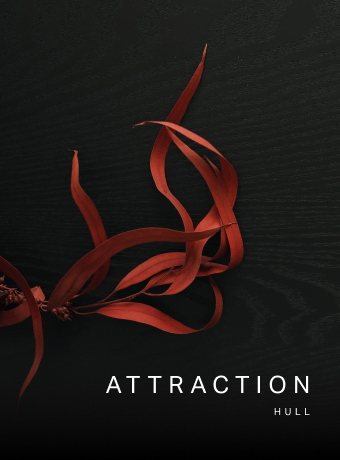 A book about Attraction
