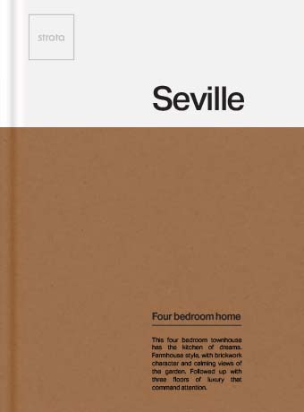 A book about Seville