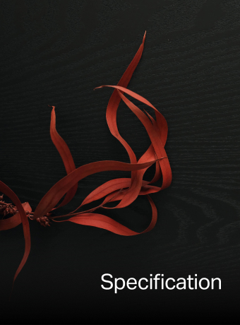 Attraction specification