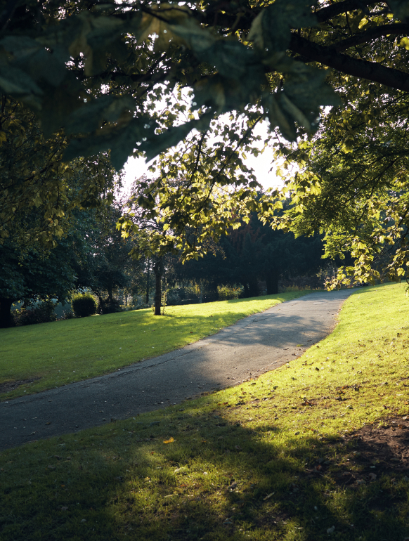 Grass and Tree Lined Path Through Parkland